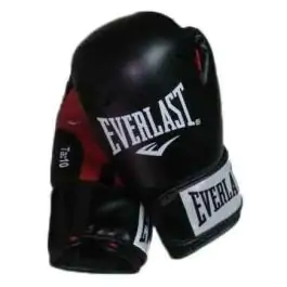 Boks Rukavice Moulded Foam 12Oz Everlast