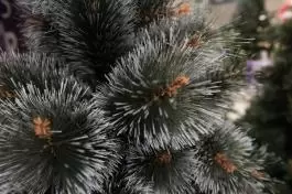 BOR - novogodišnja jelka sa belim vrhovima 120 cm