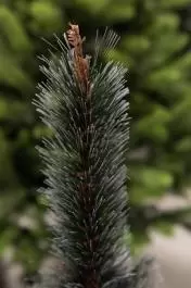 BOR - novogodišnja jelka sa belim vrhovima 120 cm