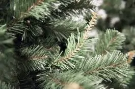 Novogodišnja jelka Aljaska 250 cm