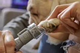 Alat za kućne ljubimce 7020 PGK Dremel