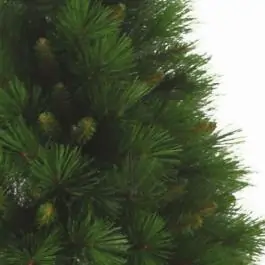 Jelka novogodišnja veštačka 210 cm SIERRA