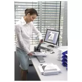 Bušač 2 rupe do 250 listova LEITZ 51820184 sivi