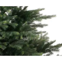 Novogodišnja jelka Grandis fir 240cm-162cm Everlands