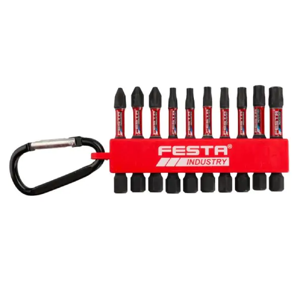 FESTA Set od 10 komada Bitova PH-PZ-TORX S2 1/4" 50mm