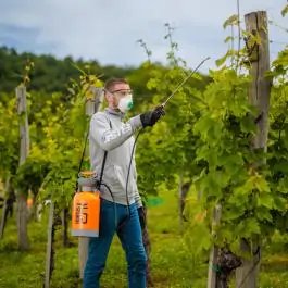 Ručna vakum prskalica Hortus 5 Villager