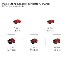 Einhell PROFESSIONAL akumulatorska teleskopska testera za grane GP-LC 18/20 Li T BL-Solo