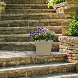 Saksija SONATA (Kapućino) 71×35×35 cm