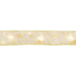 LED svetleći niz zlatna traka sa 50 LED dioda RLS5WW Home