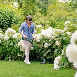 Bosch EasyGrassCut 18V-230 Akumulatorski trimer za travu, bez baterije i punjača 06008C1A04