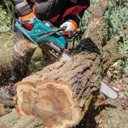 Makita UC030GZ akumulatorska motorna testera 40V XGT 500 mm Solo