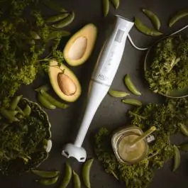 ADLER AD4622 štapni mikser 300W