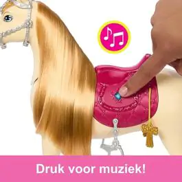 Barbie Misteries Konj interaktivni HXJ42 CT231010